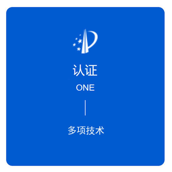 榮獲國家大型專利技術(shù)